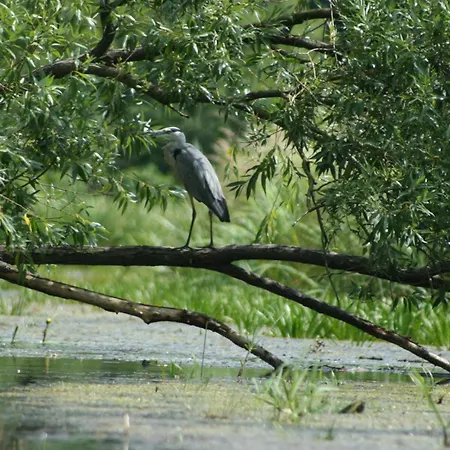 Ferienparadies Waldidylle, Familiengefuehrt Seit Ueber 20 Jahren - Mit Grossem Pool Und Viel Platz! Haida