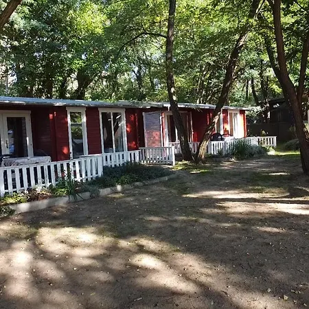 Ferienparadies Waldidylle, Familiengefuehrt Seit Ueber 20 Jahren - Mit Grossem Pool Und Viel Platz!