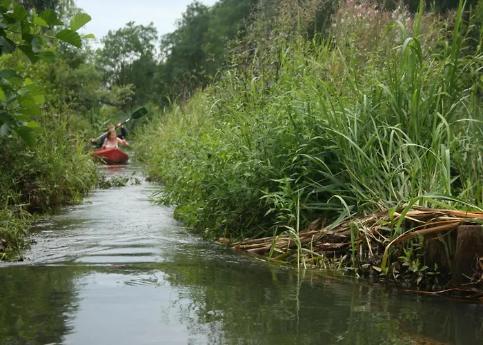Ferienparadies Waldidylle, Familiengefuehrt Seit Ueber 20 Jahren - Mit Grossem Pool Und Viel Platz!