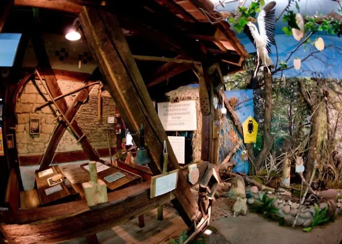 Ferienparadies Waldidylle, Familiengefuehrt Seit Ueber 20 Jahren - Mit Grossem Pool Und Viel Platz! 3* Haida