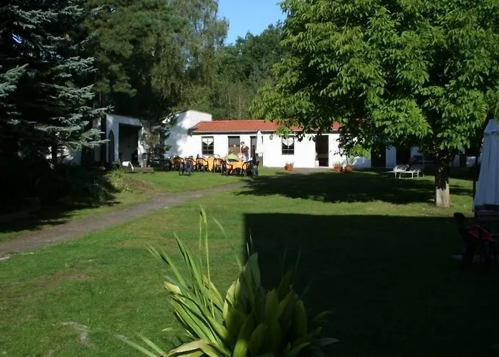 Ferienparadies Waldidylle, Familiengefuehrt Seit Ueber 20 Jahren - Mit Grossem Pool Und Viel Platz! Hotell