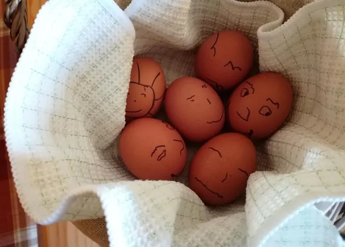 Ferienparadies Waldidylle, Familiengefuehrt Seit Ueber 20 Jahren - Mit Grossem Pool Und Viel Platz! Hotell 3*